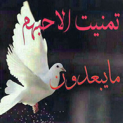 صور مکتوب علیها عبارات جمیله