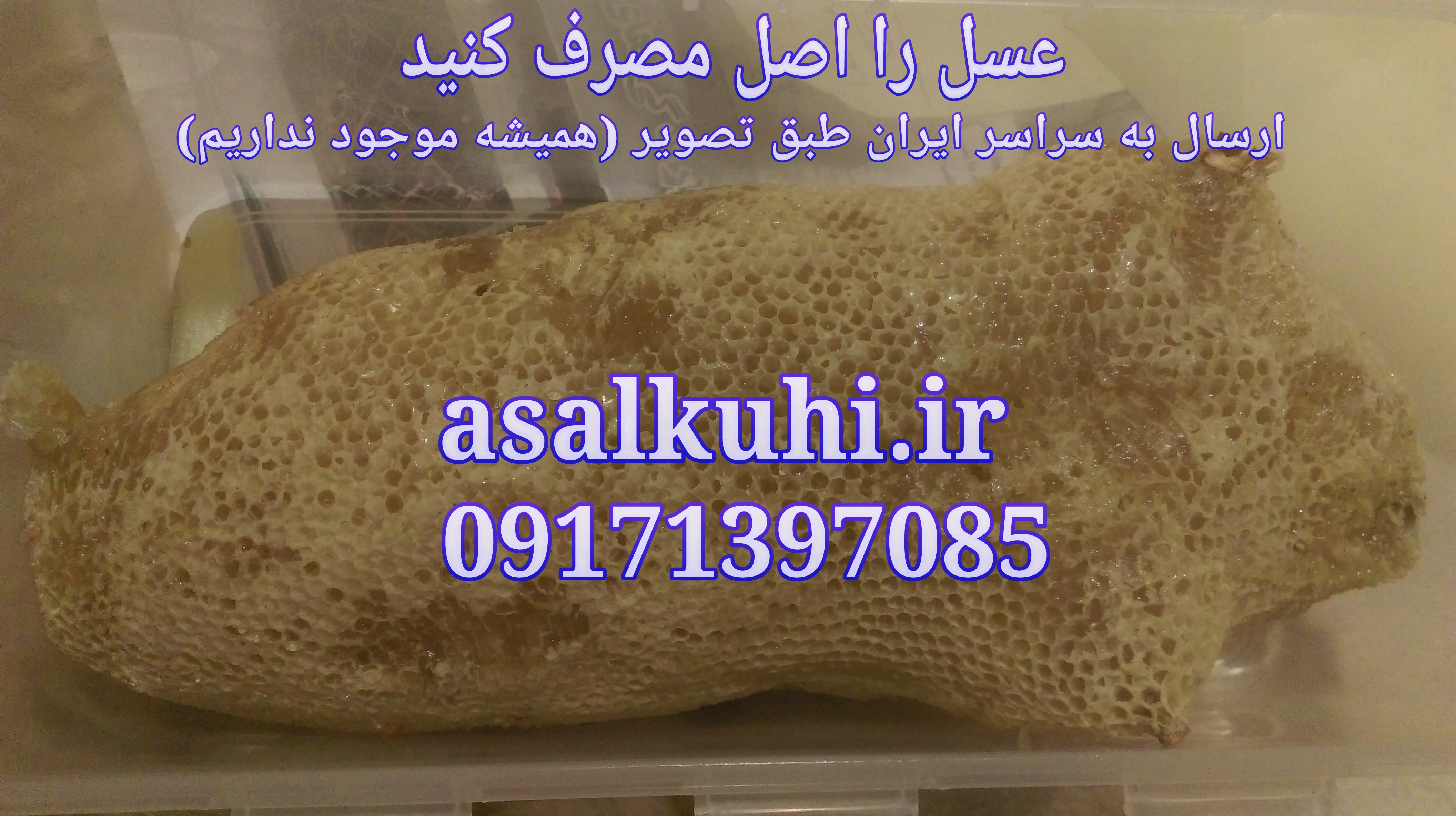 عسل کوهی