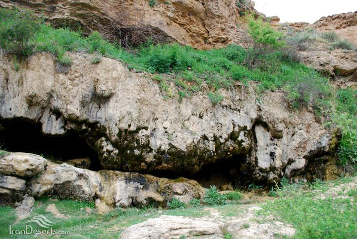 دامجی قیه