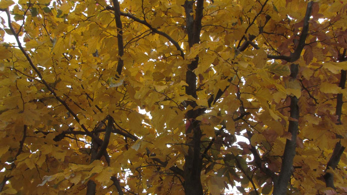 1_5_.jpg (1400×787)