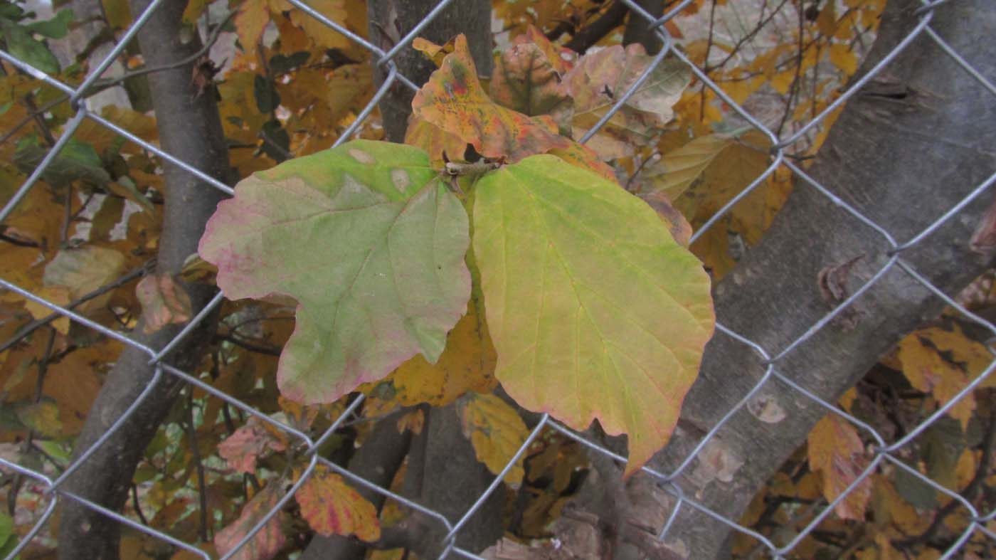 1_6_.jpg (1400×787)