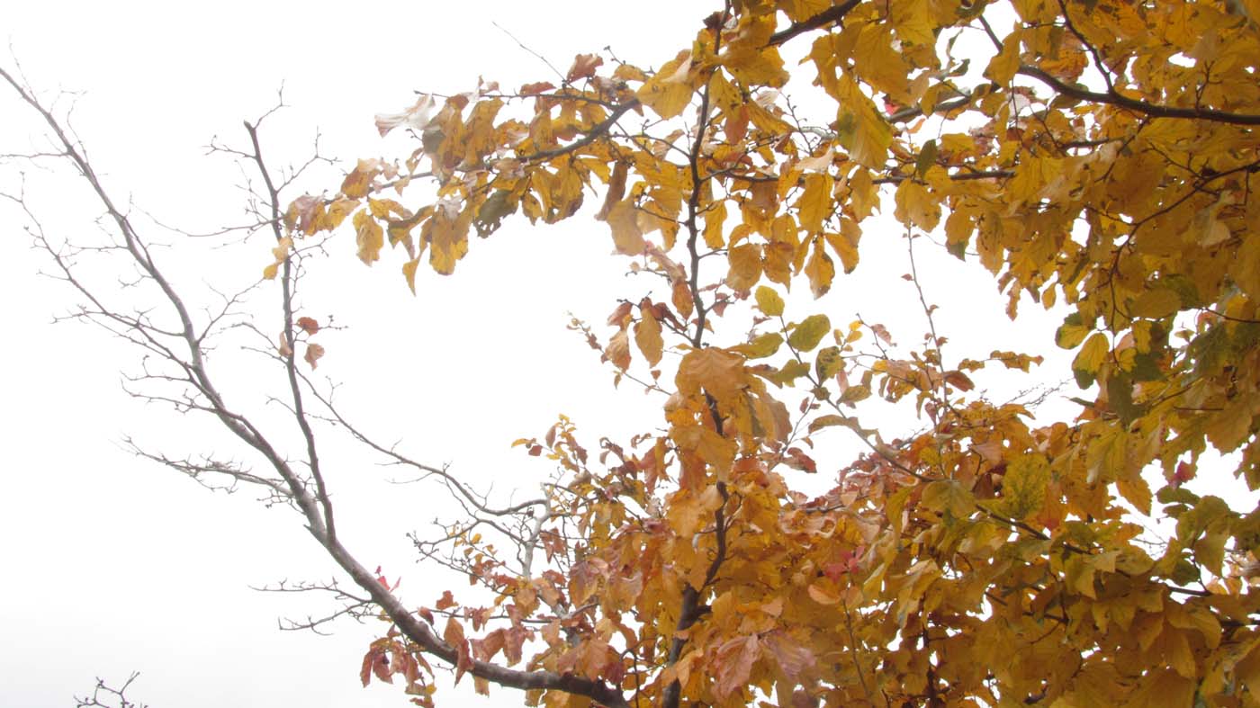 1_7_.jpg (1400×787)