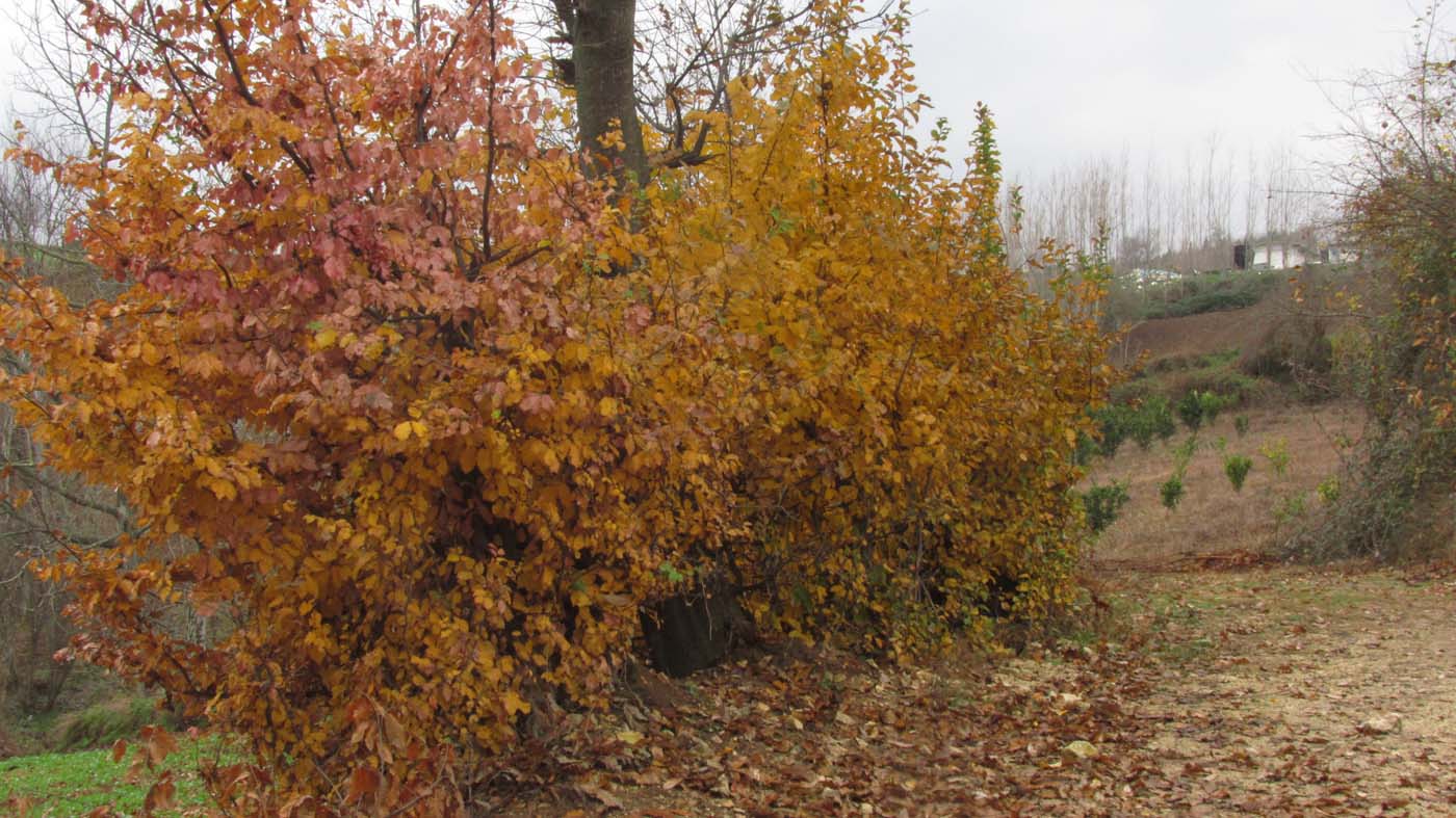 1_18_.jpg (1400×787)