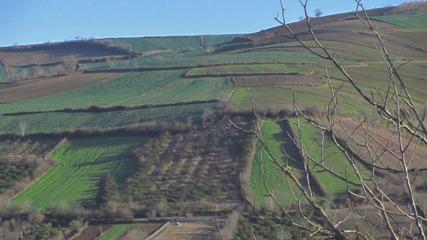 1_38_.jpg (1400×787)