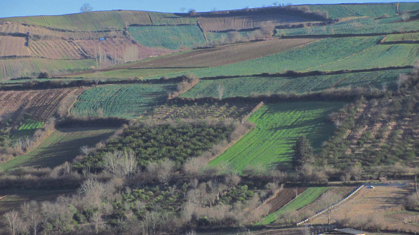 1_39_.jpg (1400×787)