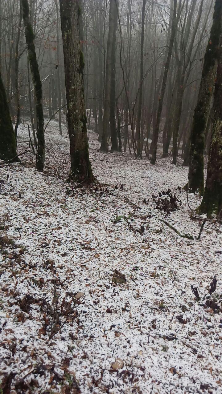 1_2_.jpg (720×1280)