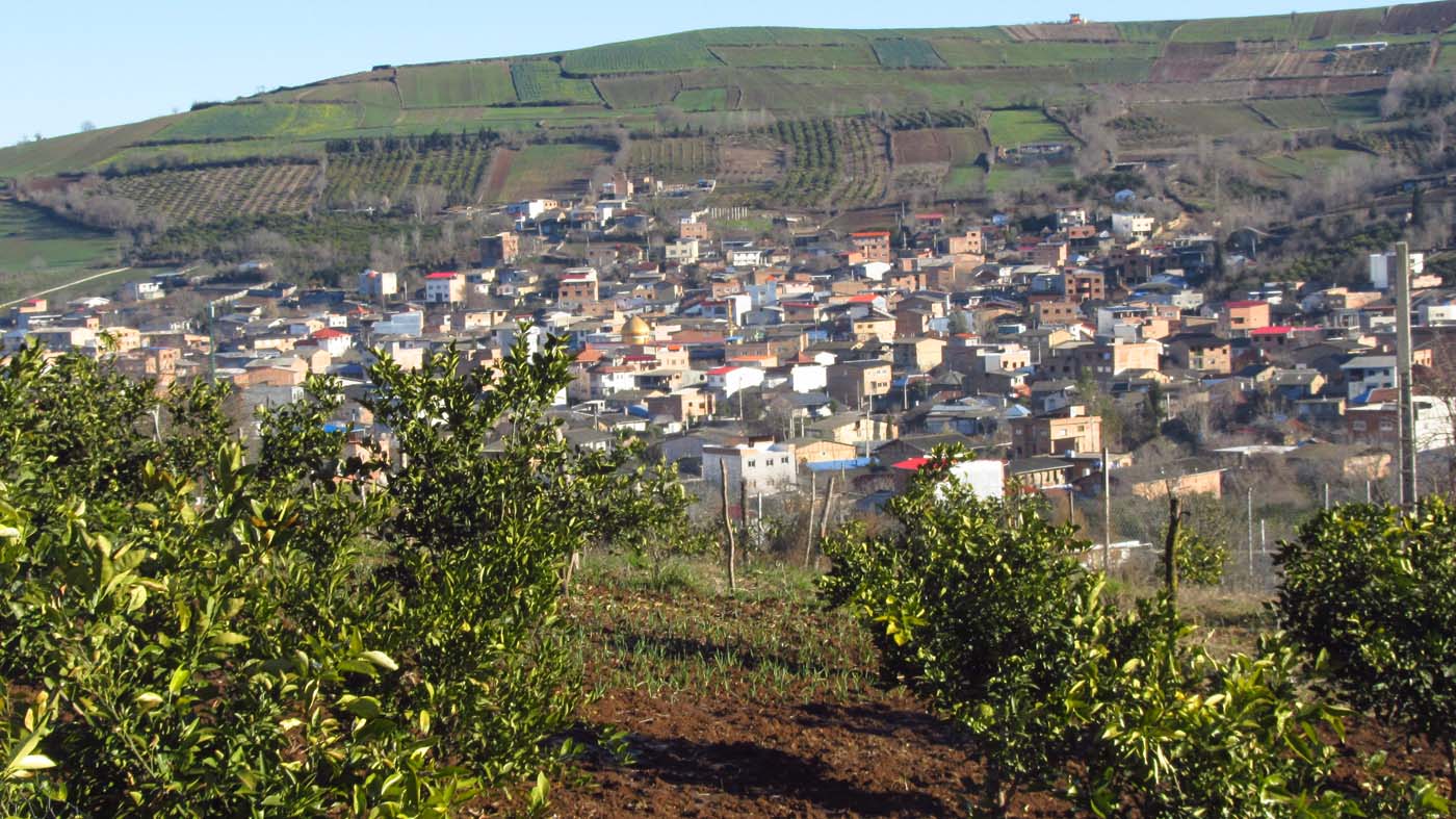 1_5_.jpg (1400×787)