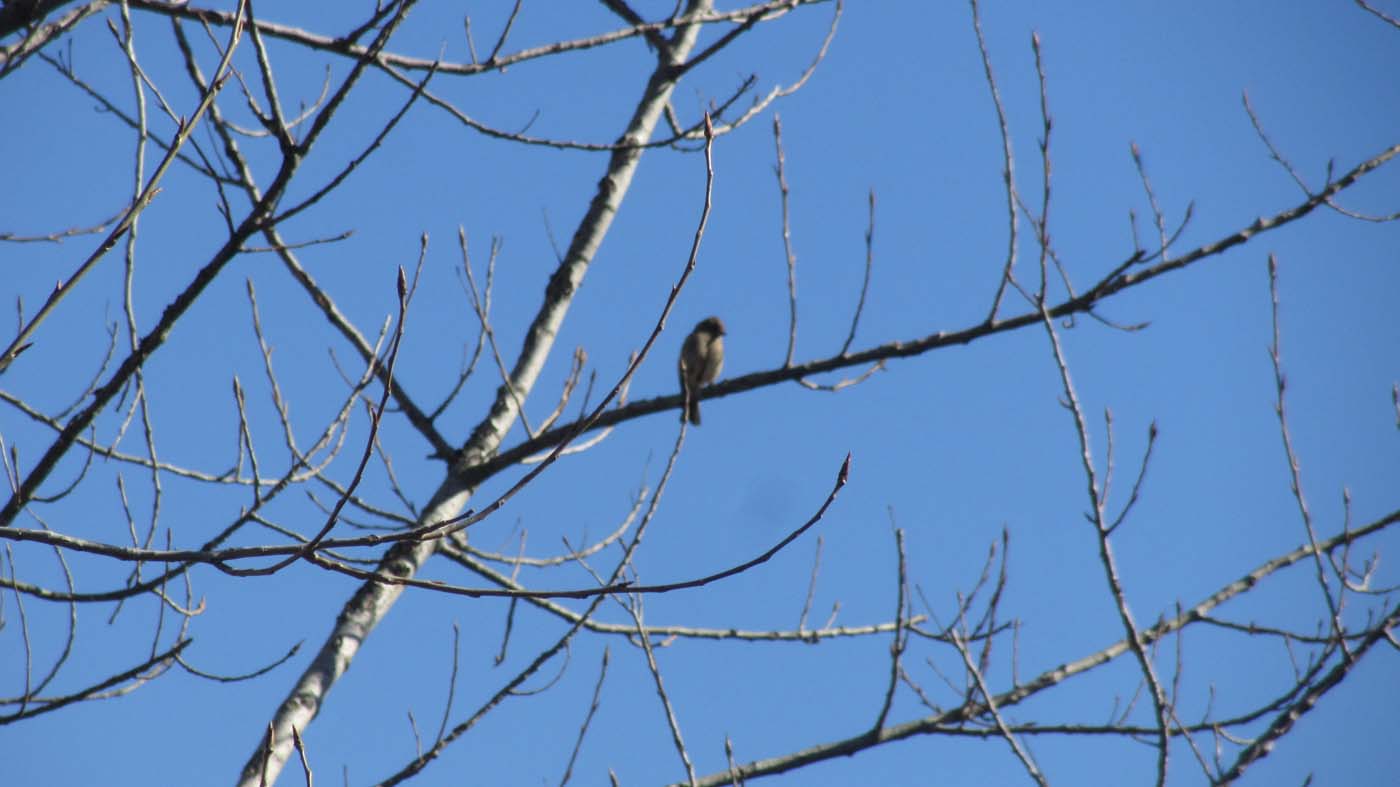 1_17_.jpg (1400×787)