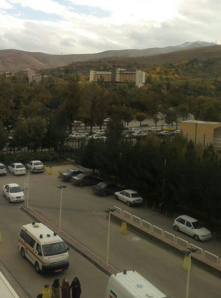 view