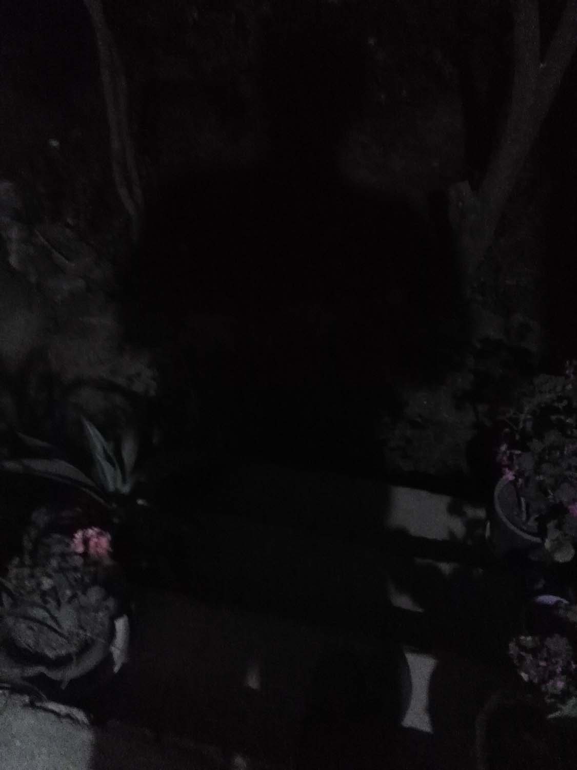 IMG_20191007_192612.jpg (1125×1500)