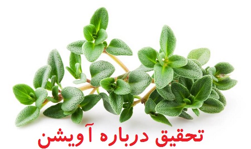 خواص آویشن