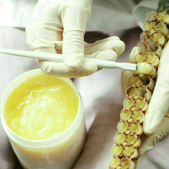 تیرک برداشت ژله رویال