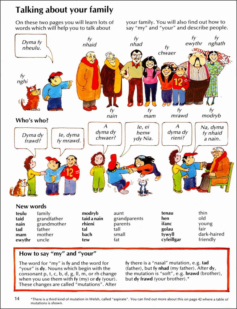 دانلود کتاب آموزش زبان ولزی pdf