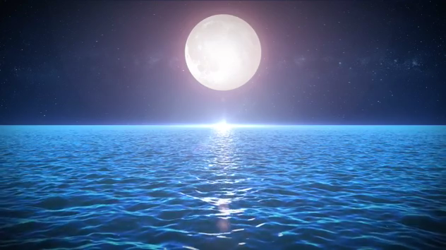 کتاب جزر و مد علی عزیزی