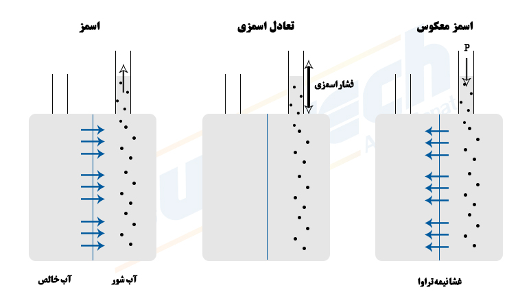 اسمز معکوس چیست