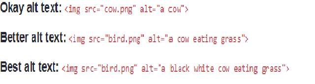 Alt Text _ بازاریاب فضای مجازی 