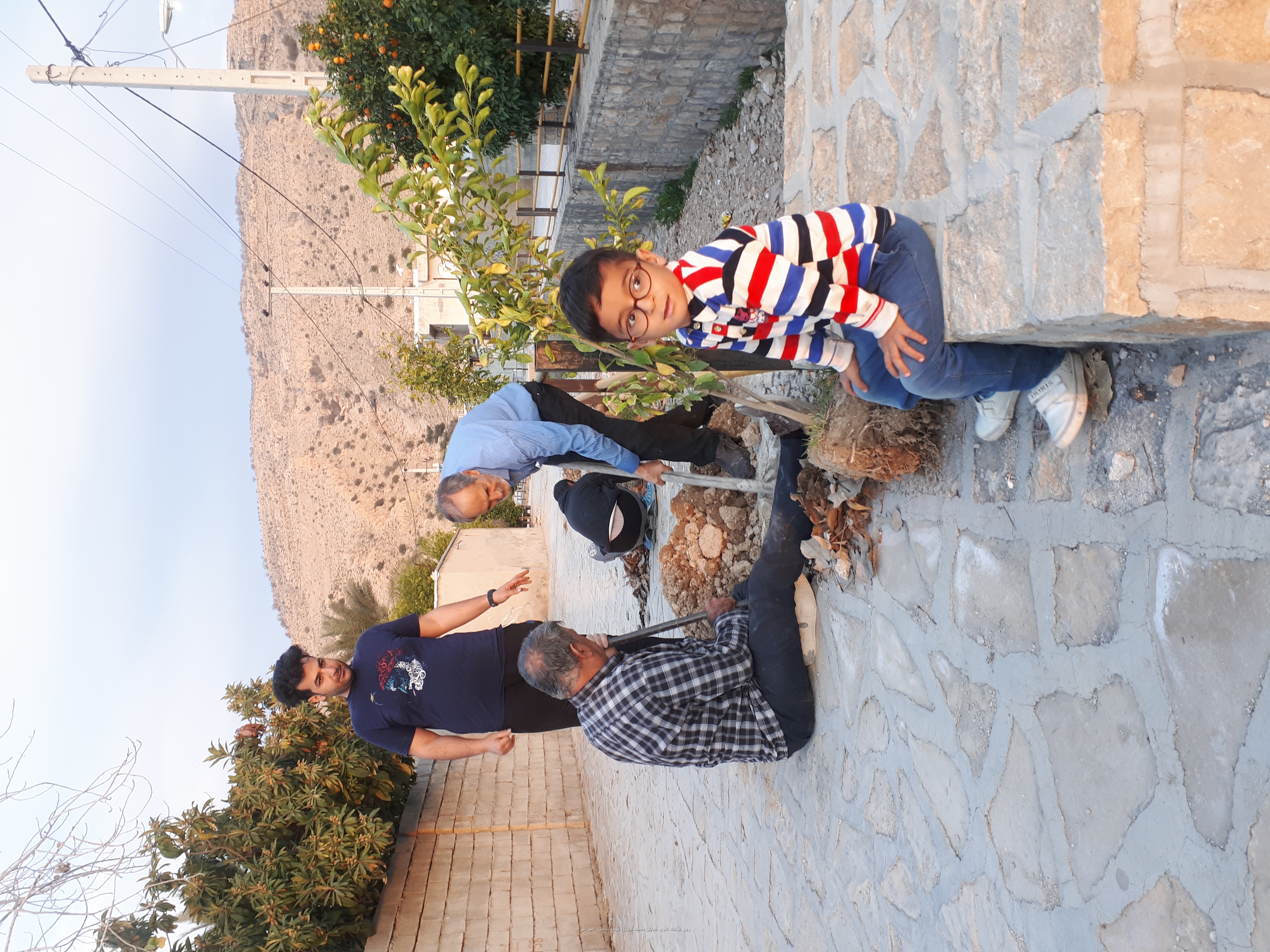 درخت کاری خیابان مسجد 