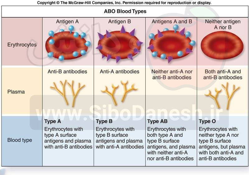 چگونه آنتی بادی علیه آنتی ژن گروه خونی در بدن فردی که سابقه ی دریافت خون ندارد نیز وجود دارد؟