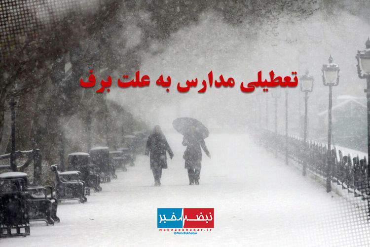 تعطیلی مدارس برخی شهرهای گیلان به علت بارش شدید برف 1 612600 122