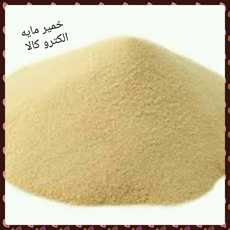  ین خمیرمایه موجودی ذره بینی است که در نتیجه رشد آن در خمیر، گاز کربنیک و سایر مواد آلی تولید می شود. گاز کربنیک حاصله باعث افزایش حجم، پوکی و تخلخل نان و سایر ترکیبات آلی باعث افزایش ارزش تغذیه ای و عطر و طعم خوش نان می گردند