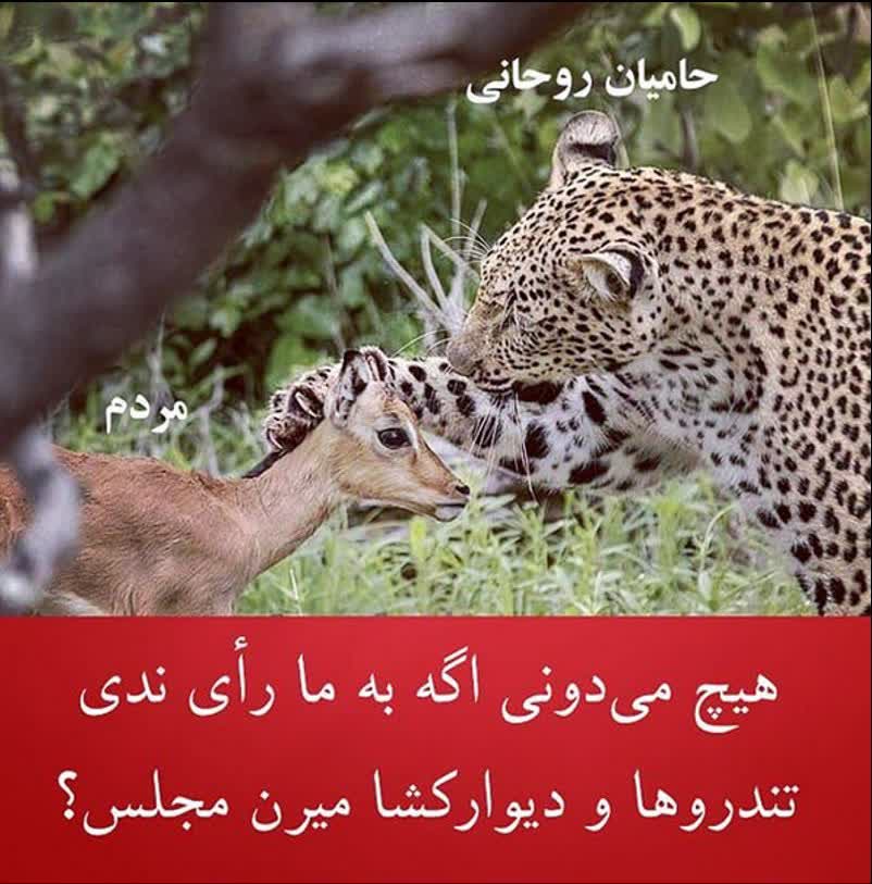 تصویر