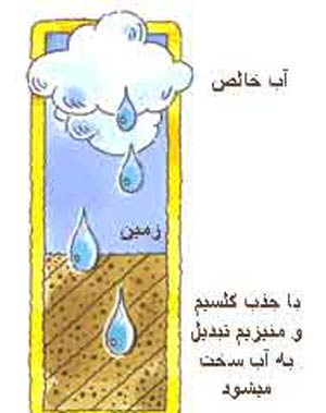 <strong>سوال</strong> 41