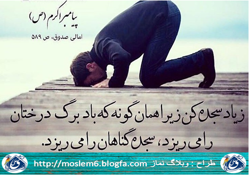 <strong>پیامبر</strong> اکرم (ص) می <strong>فرماید</strong> :