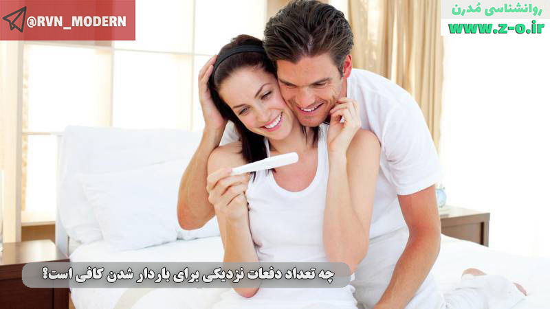 http://s7.picofile.com/file/8391098518/pre_pregnancy_health.jpg