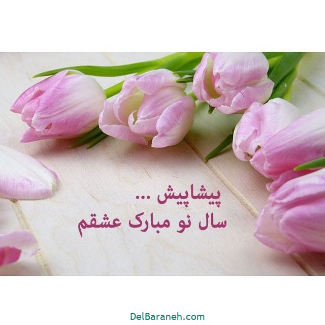 پیشاپیش سال نو مبارک عشقم