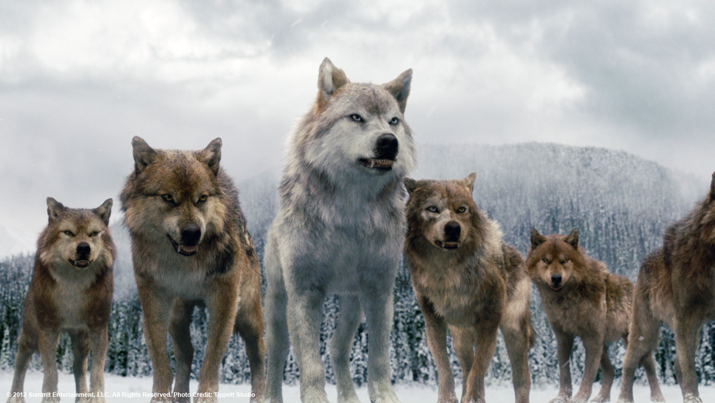 پرت کردن میان گرگ‌ها 