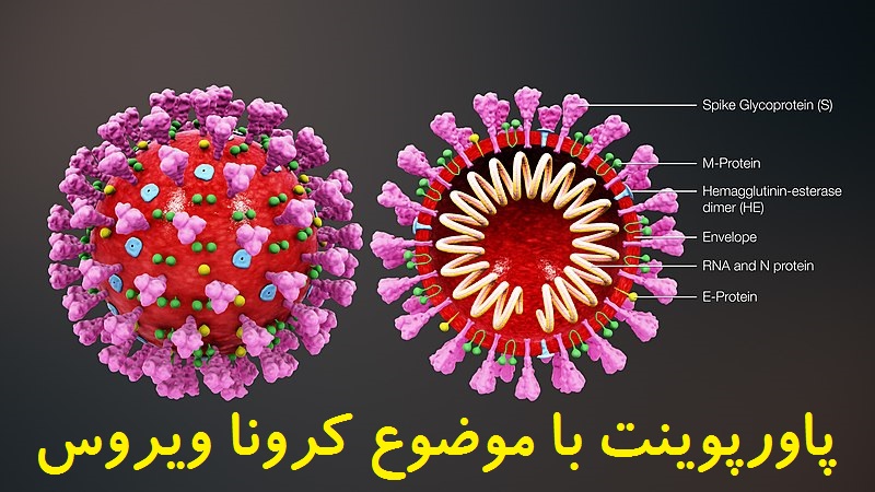 تحقیق درباره ویروس کرونا